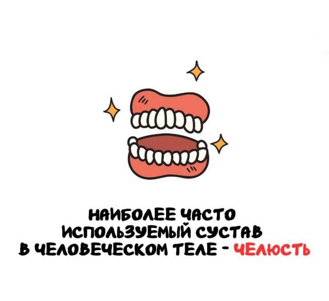 Интересные факты на все случаи жизни Интересные факты на все случаи жизни