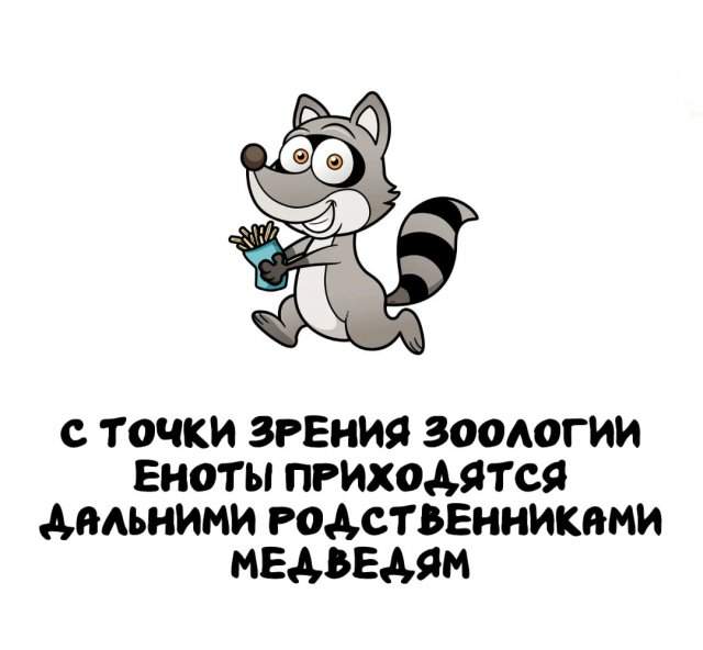 Интересные факты на все случаи жизни Интересные факты на все случаи жизни