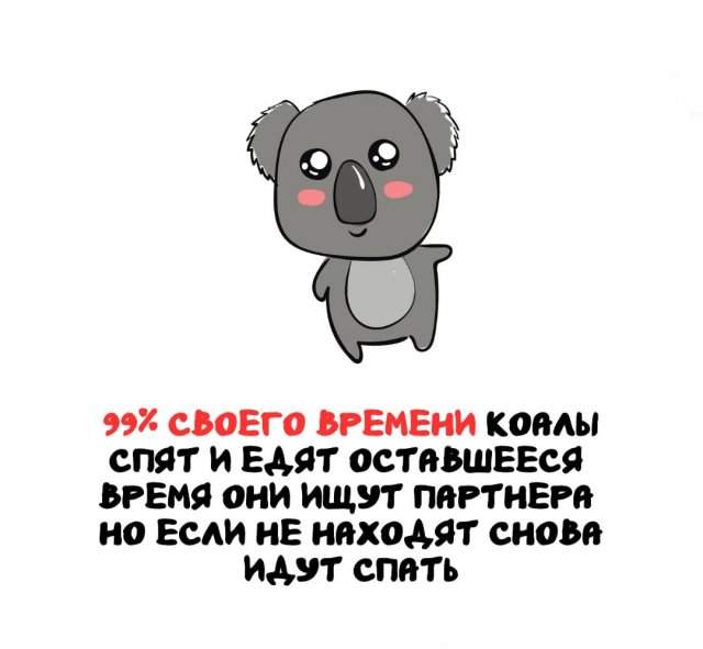 Интересные факты на все случаи жизни Интересные факты на все случаи жизни