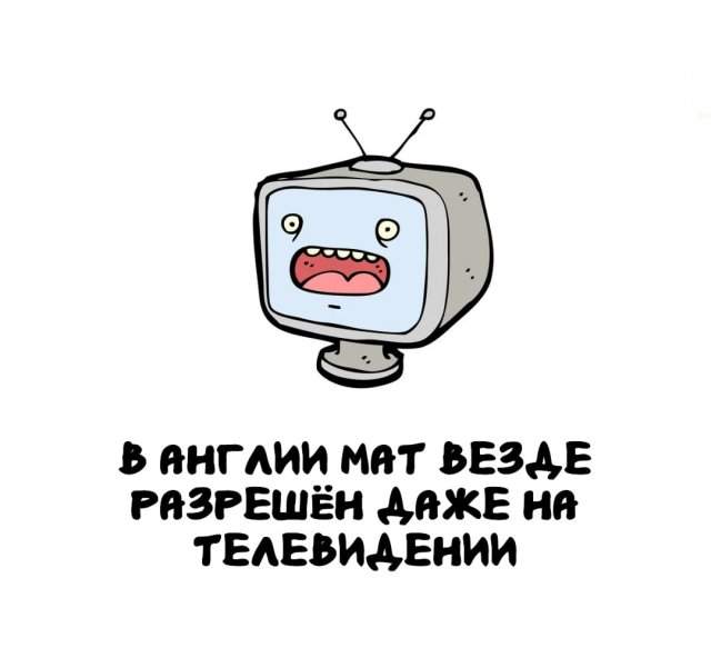Интересные факты на все случаи жизни Интересные факты на все случаи жизни