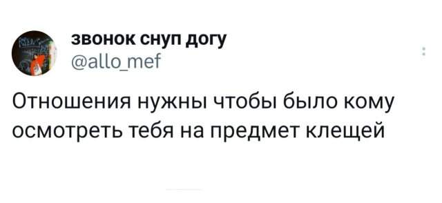 Подборка забавных твитов обо всем Подборка забавных твитов обо всем
