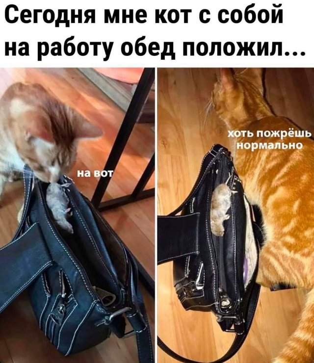 Смешные мемы - 27.06.2025 Смешные мемы - 27.06.2025