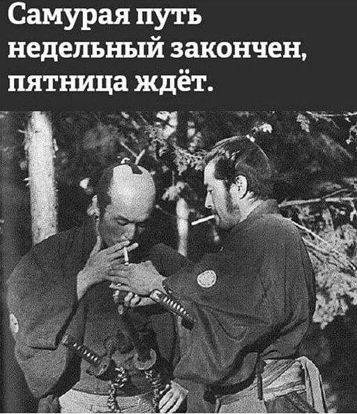 Лучшие шутки и мемы из Сети - 27.06.2025