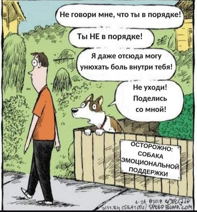 Лучшие шутки и мемы из Сети - 27.06.2025 Лучшие шутки и мемы из Сети - 27.06.2025