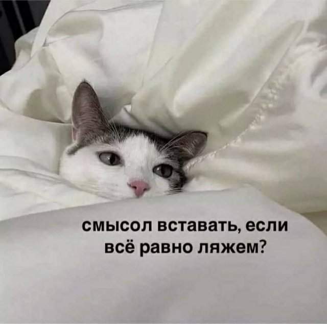 Лучшие шутки и мемы из Сети - 27.06.2025 Лучшие шутки и мемы из Сети - 27.06.2025