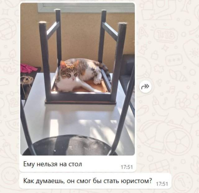 Смешные мемы - 30.06.2025 Смешные мемы - 30.06.2025