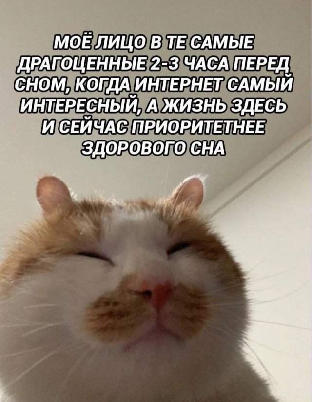 Смешные мемы - 30.06.2025 Смешные мемы - 30.06.2025