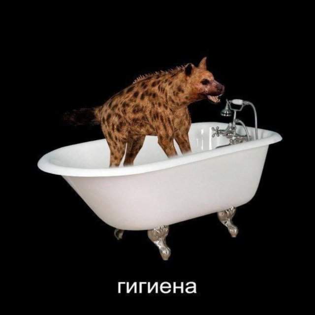 Смешные мемы - 30.06.2025 Смешные мемы - 30.06.2025