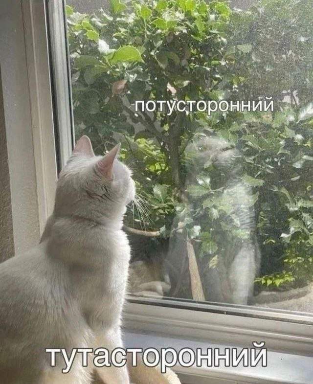 Смешные мемы - 30.06.2025 Смешные мемы - 30.06.2025