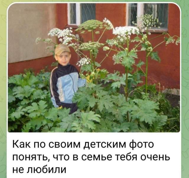 Смешные мемы - 30.06.2025 Смешные мемы - 30.06.2025