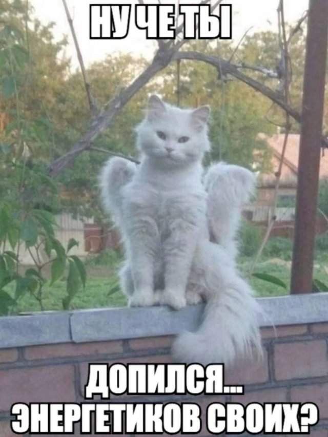 Смешные картинки - 30.06.2025 Смешные картинки - 30.06.2025