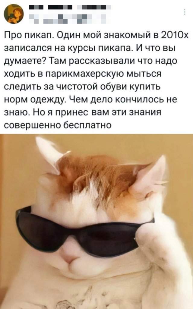 Подборка картинок. Вечерний выпуск - 30.06.2025 Подборка картинок. Вечерний выпуск - 30.06.2025