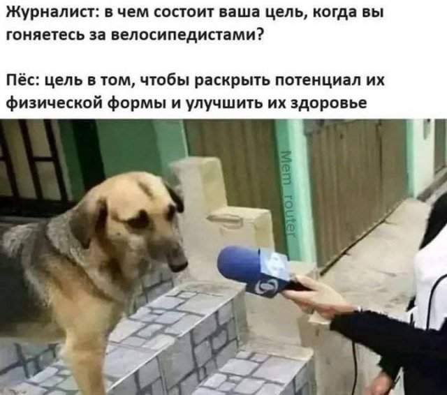 Лучшие шутки и мемы из Сети - 30.06.2025 Лучшие шутки и мемы из Сети - 30.06.2025
