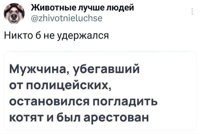 Подборка забавных твитов обо всем Подборка забавных твитов обо всем