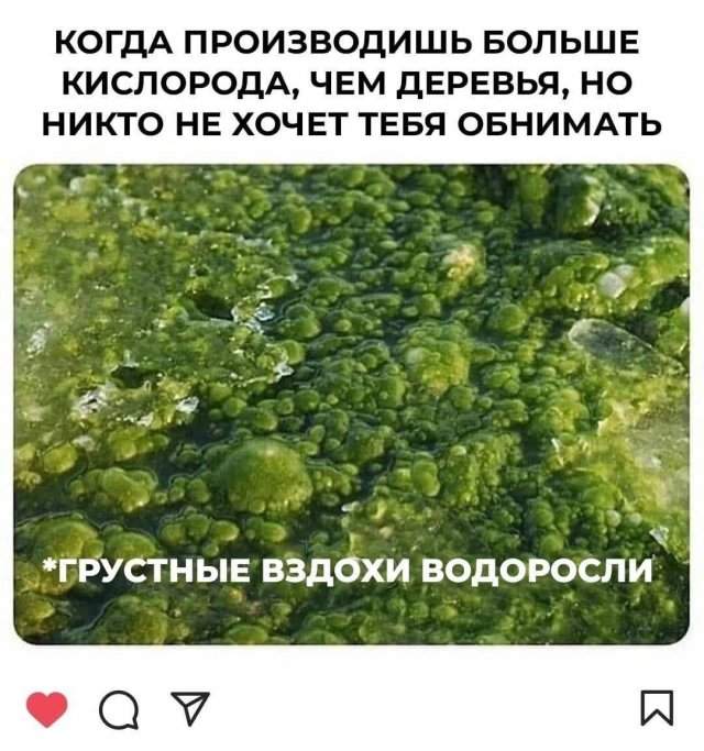Смешные мемы - 01.07.2025