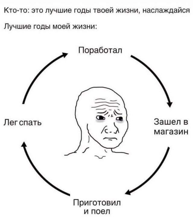Подборка картинок. Вечерний выпуск - 01.07.2025