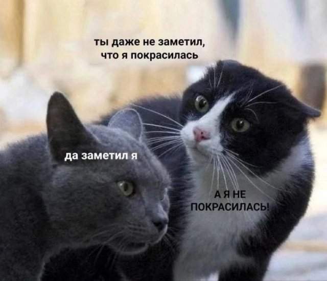 Лучшие шутки и мемы из Сети - 01.07.2025