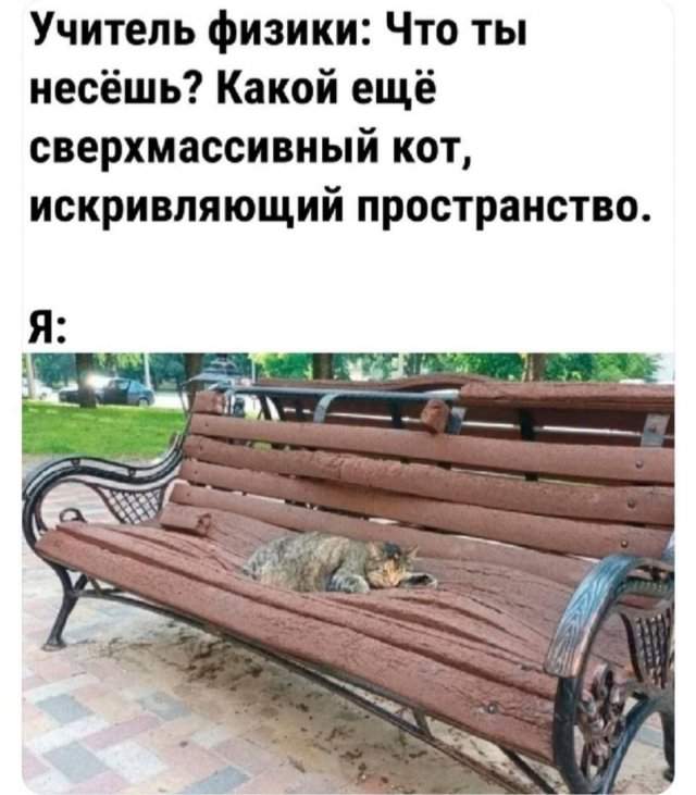 Лучшие шутки и мемы из Сети - 01.07.2025
