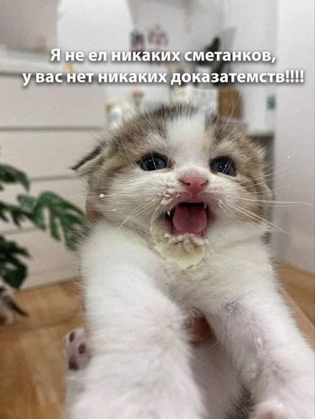 Смешные картинки - 02.07.2025