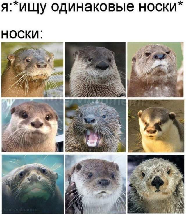 Смешные мемы - 03.07.2025 Смешные мемы - 03.07.2025