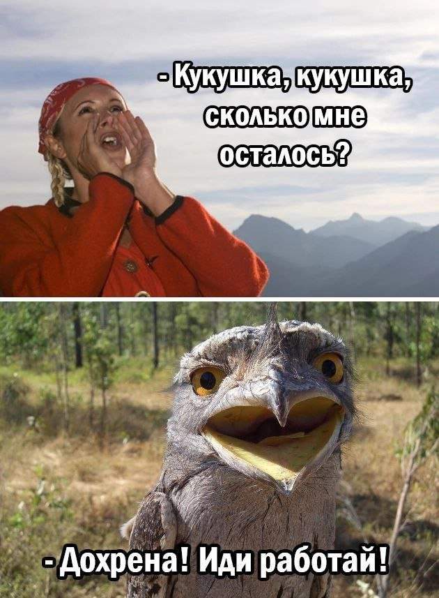 Смешные мемы - 03.07.2025 Смешные мемы - 03.07.2025