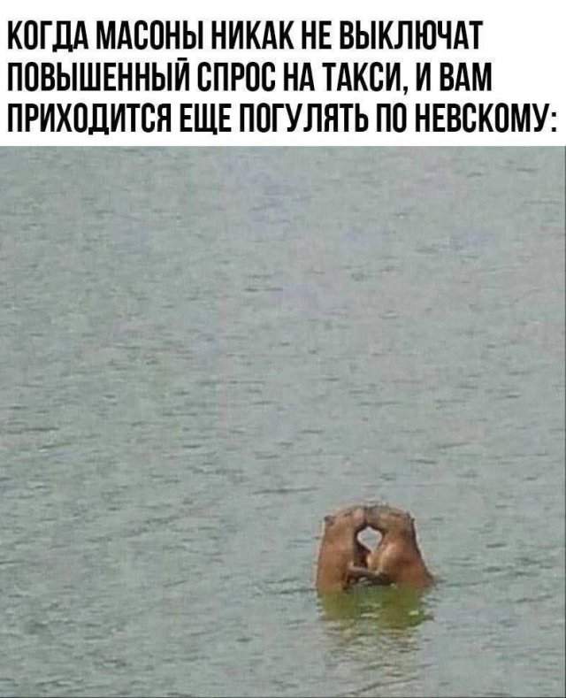 Смешные картинки - 03.07.2025 Смешные картинки - 03.07.2025