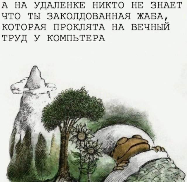 Смешные картинки - 03.07.2025 Смешные картинки - 03.07.2025