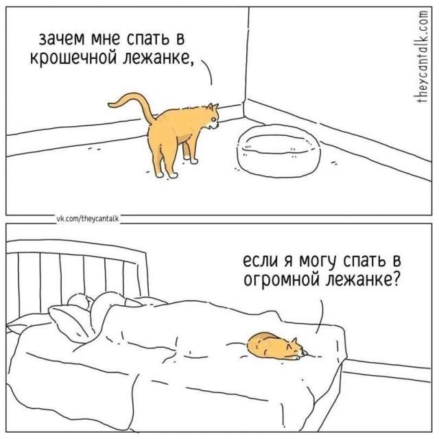 Смешные картинки - 03.07.2025 Смешные картинки - 03.07.2025