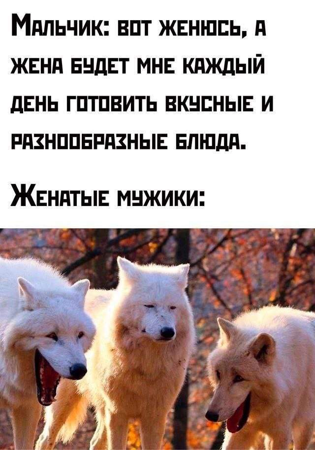 Смешные картинки - 03.07.2025 Смешные картинки - 03.07.2025