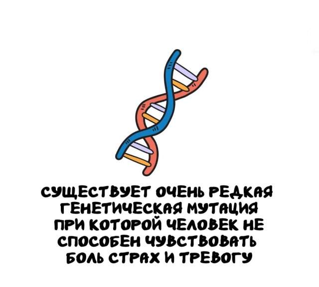 Интересные факты на все случаи жизни