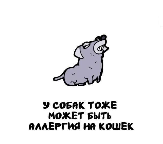 Интересные факты на все случаи жизни