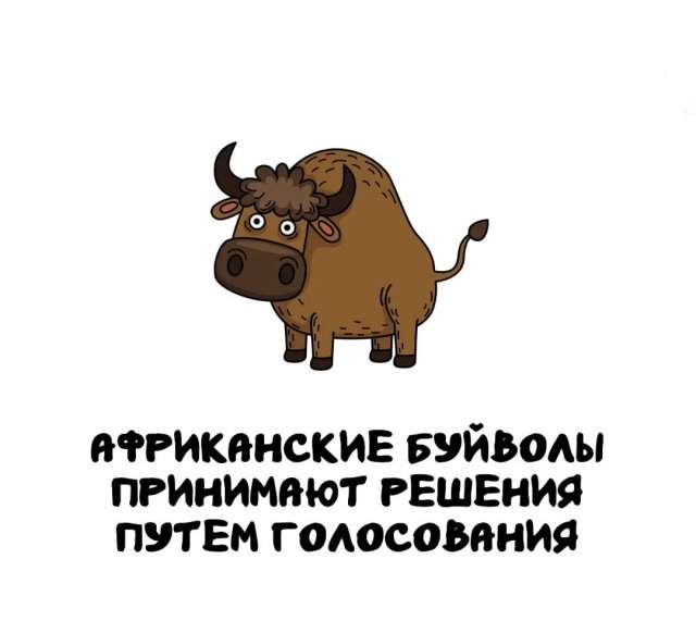 Интересные факты на все случаи жизни
