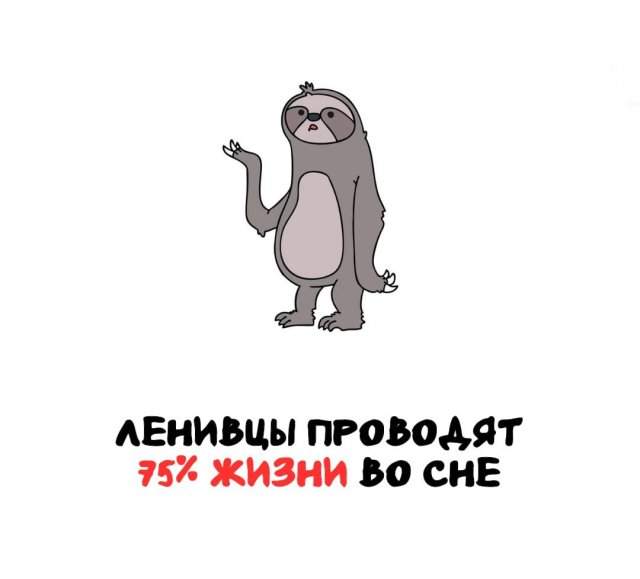 Интересные факты на все случаи жизни