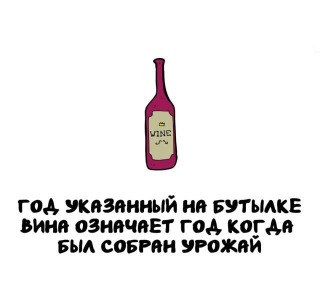 Интересные факты на все случаи жизни