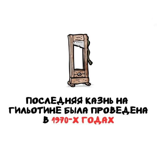 Интересные факты на все случаи жизни