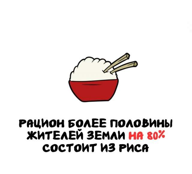Интересные факты на все случаи жизни