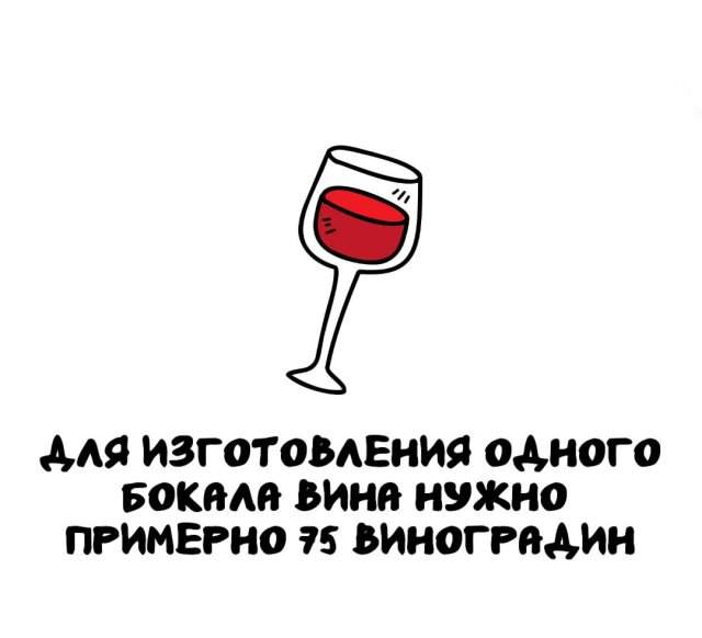 Интересные факты на все случаи жизни