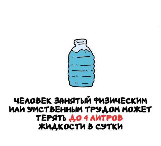 Интересные факты на все случаи жизни