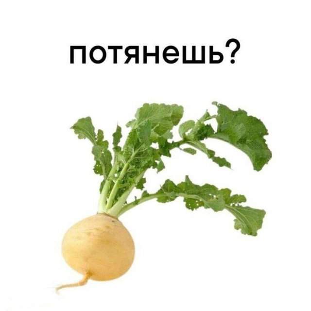 Лучшие шутки и мемы из Сети - 03.07.2025
