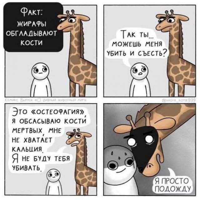 Лучшие шутки и мемы из Сети - 03.07.2025 Лучшие шутки и мемы из Сети - 03.07.2025
