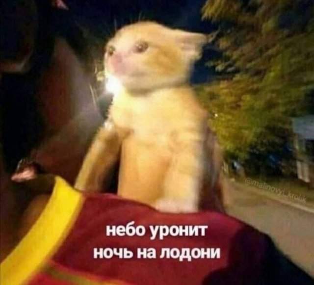 Лучшие шутки и мемы из Сети - 03.07.2025 Лучшие шутки и мемы из Сети - 03.07.2025