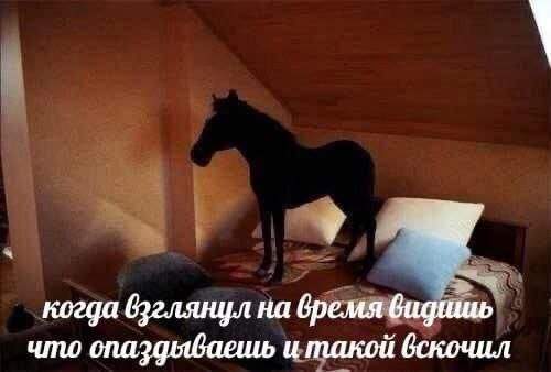 Лучшие шутки и мемы из Сети - 03.07.2025 Лучшие шутки и мемы из Сети - 03.07.2025