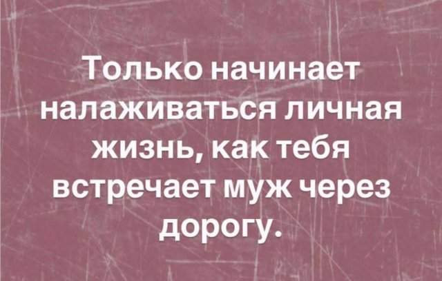 Смешные картинки - 04.07.2025 Смешные картинки - 04.07.2025