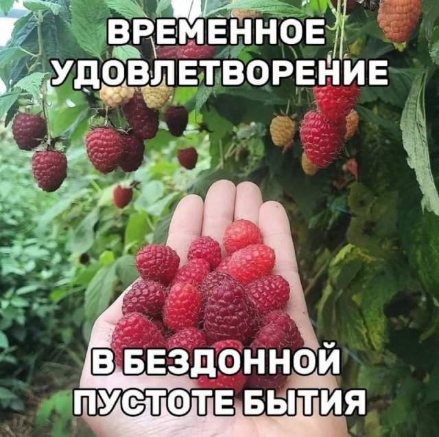 Смешные картинки - 04.07.2025 Смешные картинки - 04.07.2025