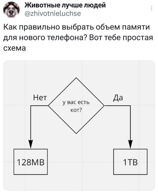 Подборка забавных твитов обо всем