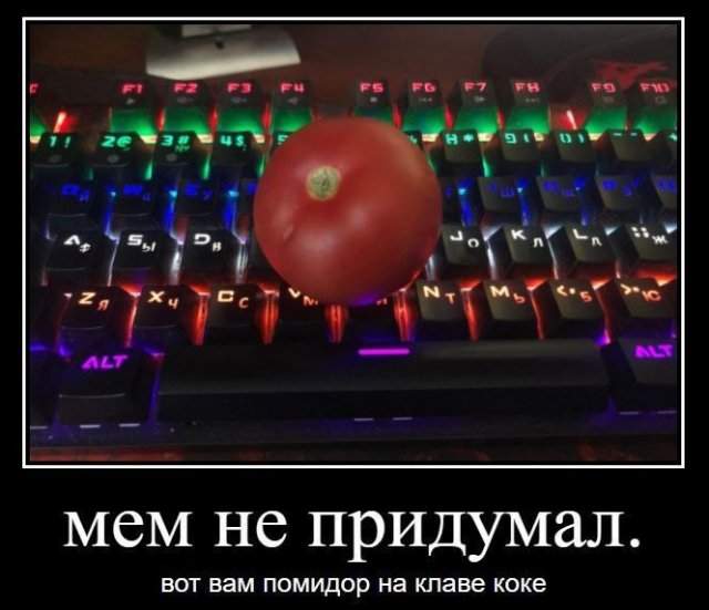 Демотиваторы - 04.07.2025
