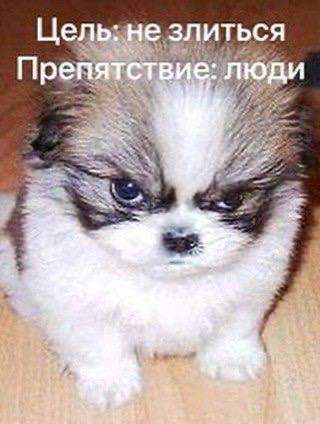 Лучшие шутки и мемы из Сети - 04.07.2025 Лучшие шутки и мемы из Сети - 04.07.2025