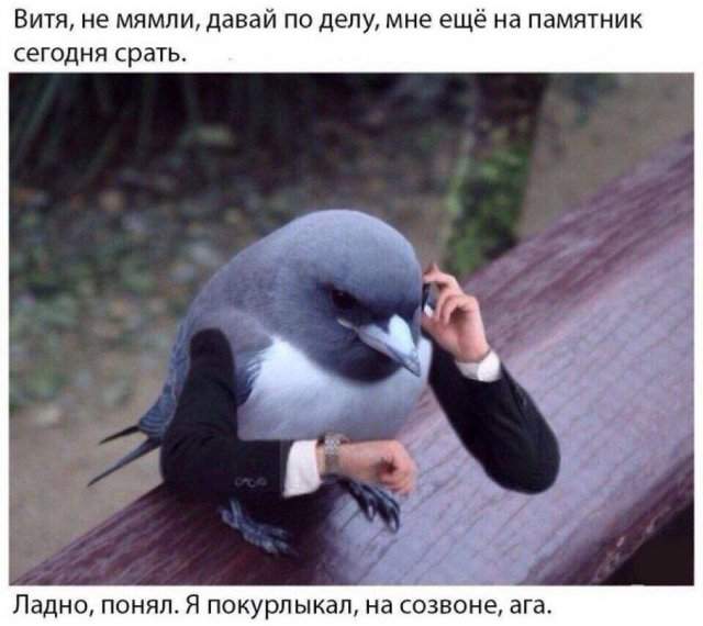 Смешные мемы - 07.07.2025 Смешные мемы - 07.07.2025