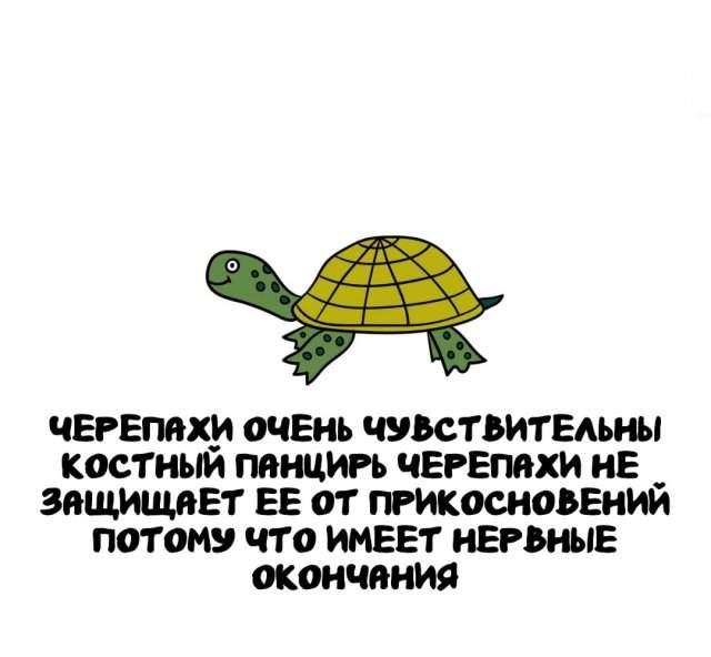 Интересные факты на все случаи жизни Интересные факты на все случаи жизни