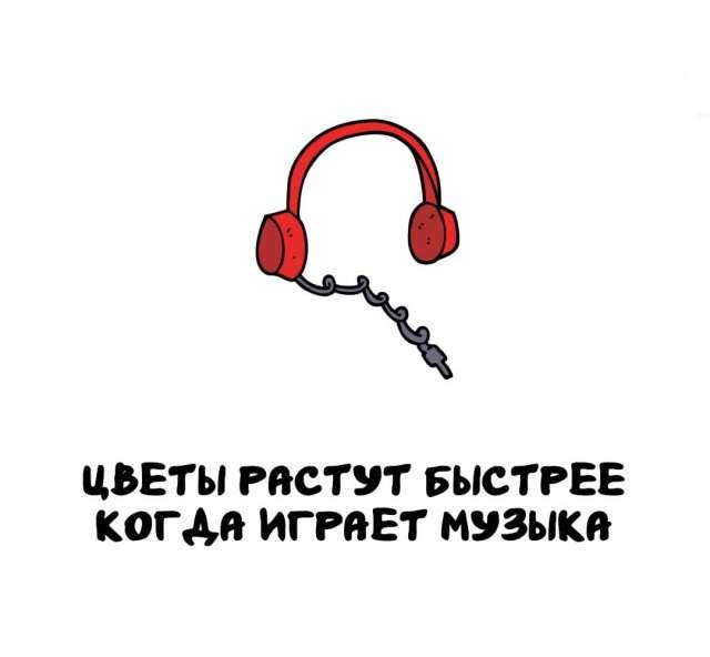 Интересные факты на все случаи жизни Интересные факты на все случаи жизни
